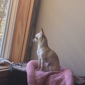 Meet your Posher, Elaine